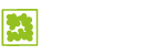 Interior Moss Wall